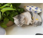 Little Chicken Catnip Cat Toy Chew Toy