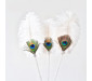 Peacock Feather Cat Teaser Interactive Cat Toys