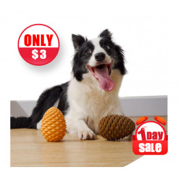 Rubber Pine Cone Food Leaking Dispenser Dog Chew Toy
