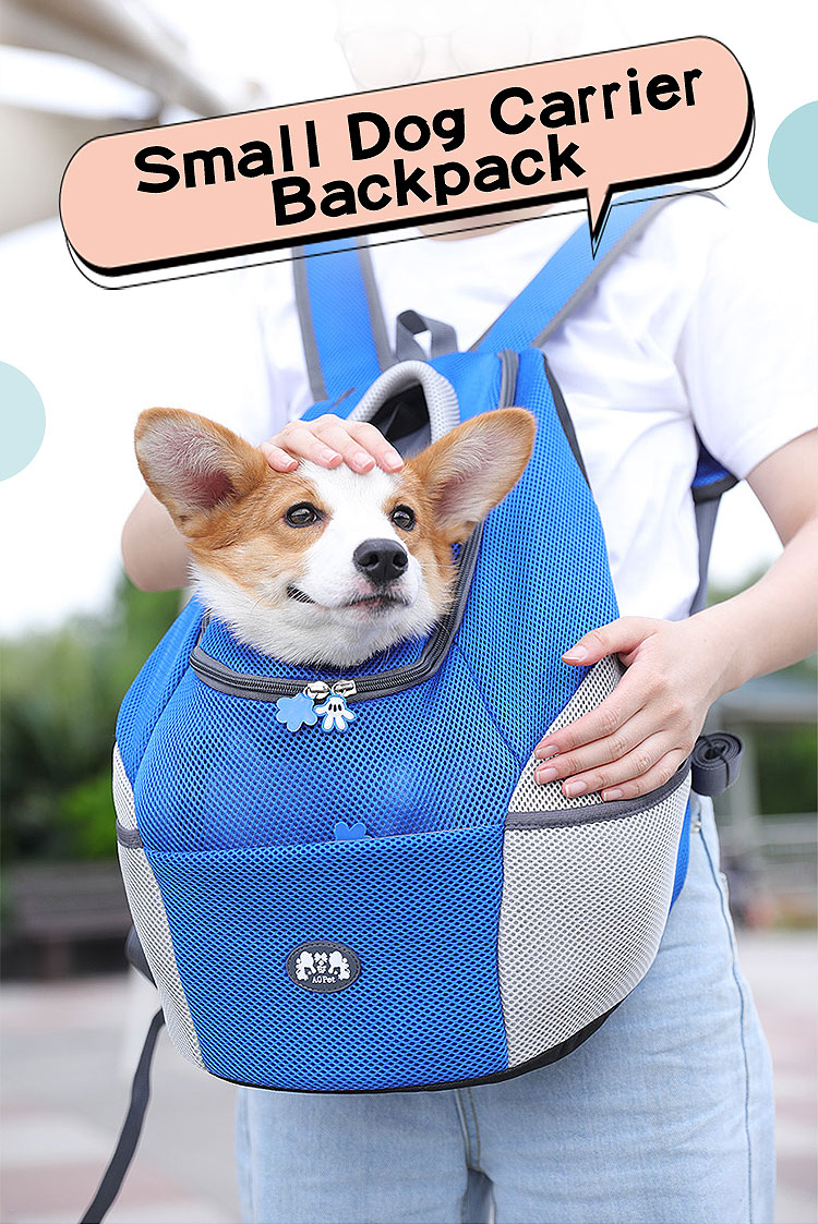 small dog carrier backpack