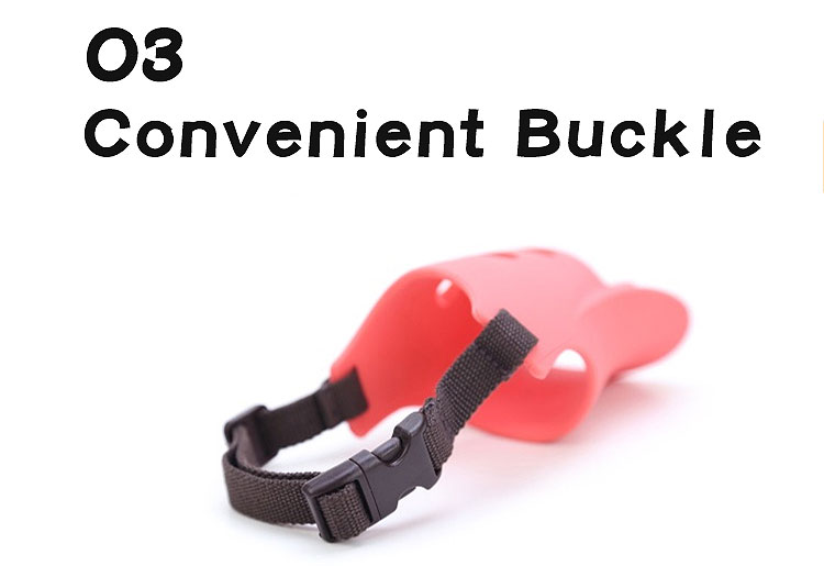 convenient buckle