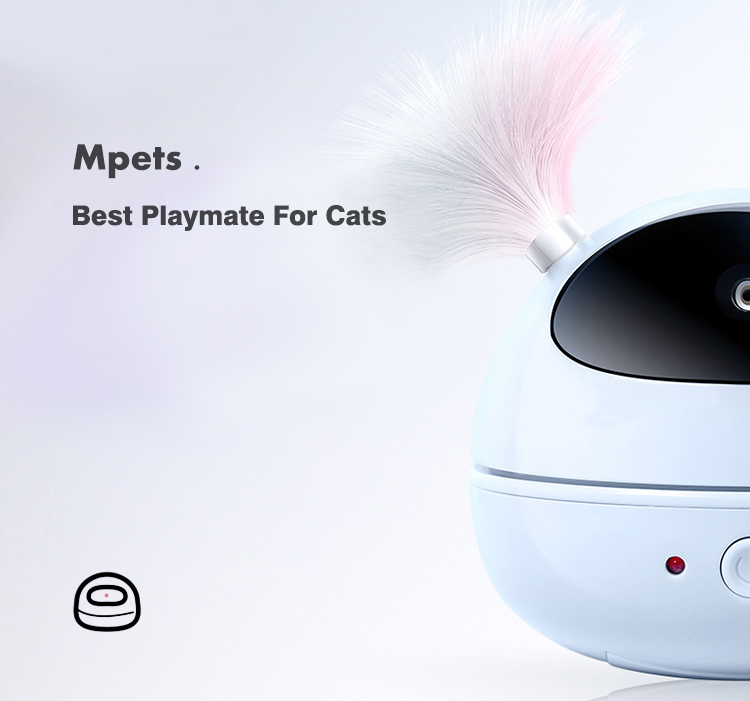 Best playmate for cats